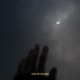 Under The Moonlight Single