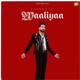 Waaliyaa Single
