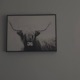 surrender Single