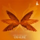 Uri Kure Single