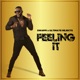Feeling It Single