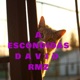 A Escondidas Single