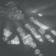 Deterministic Single