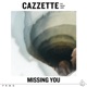 Missing You feat Parson James Single