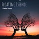 Floating Essence