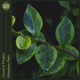 Meadow Rain Single
