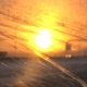 Trapchine Golden Sunsets Single