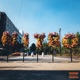 Nitro EP