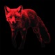 The Day Is My Enemy Expanded Edition
