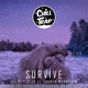 Survive feat Lauren McAndrew Single