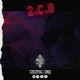 2 C B Single