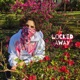 Locked Away Single