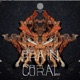 VA Brain Coral EP