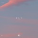 Fly Single