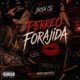 Perreo Forajida feat Jhosh Cg Single