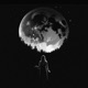 Lunar Lullaby Single