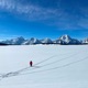 Shrooms in the Tetons Single