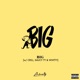 Big Single