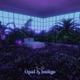 Opal Indigo Single