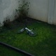 Milano parcheggio Single