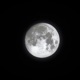For My Friend Who Lives in the Moon or Above Single