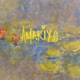 AMARIYO Single