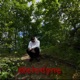 Melodyne Single