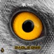 Eagle Eye Single