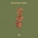 Biggi Biggi Baka Single