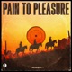 Pain to Pleasure Single