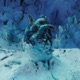 心冷 Single