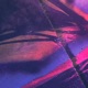 Matsu Single