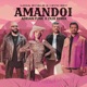 Amândoi Adrian Funk OLiX Remix Single