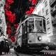 Fiori tra i Palazzi feat FR721 Single