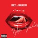 BRKN SMILES feat WALKERR Single
