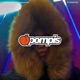 POMPIS feat CYBERHOE Single