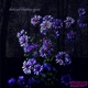 Behind Broken Eyes 3 Single