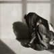 CHROMEHEARTS Single