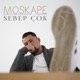 Sebep Çok