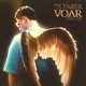 Te Fazer Voar Single