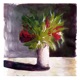 Cestrum Nocturnum Single