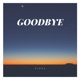 Goodbye Single