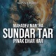 Mahadev Mantra Sundar Tar Pinak Dhar Har Single