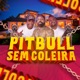 Pitbull Sem Coleira Single