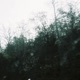 perennial emptiness Single