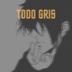 Todo Gris Single