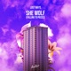She Wolf Falling to Pieces Single