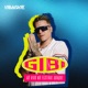 GIBI8 AO VIVO NO FESTIVAL UBAQUE Ao Vivo EP