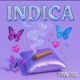 Indica Single