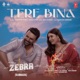 Tere Bina From Zebra Single